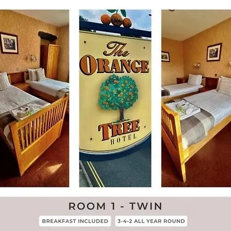 The Orange Tree